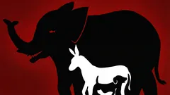 Spannende optische Illusion: Wie viele Tiere können Sie in 10 Sekunden auf diesem Bild entdecken?