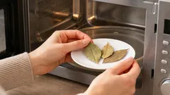 Warum legen manche Hausfrauen ein Lorbeerblatt in die Mikrowelle?